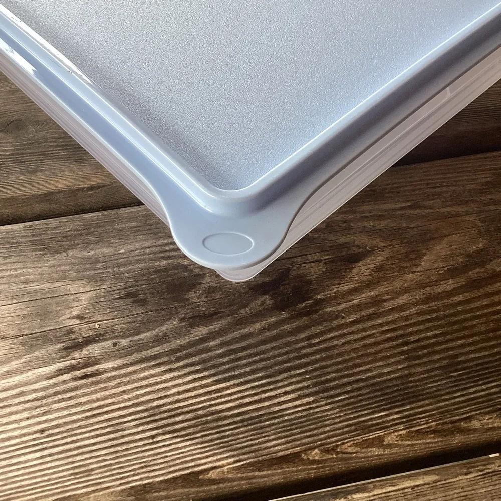Tupperware Snack-Stor Large Container in Ice Cube color
